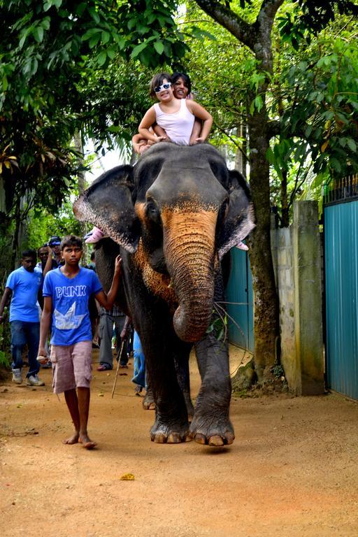 Basilico Homestay Kegalle Kültér fotó