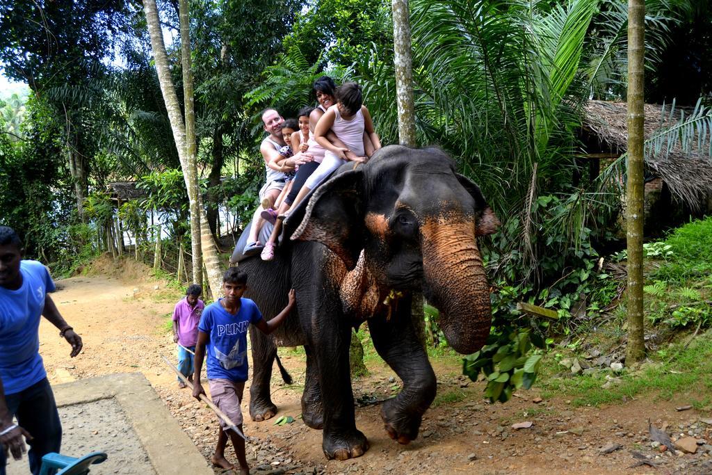 Basilico Homestay Kegalle Kültér fotó